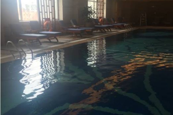 武汉小学生喝茶获奖引关注(武汉小学生研究喝茶抗癌)