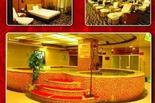 武汉黄陂茶乡：邂逅清新茶香生活(黄陂茶场)